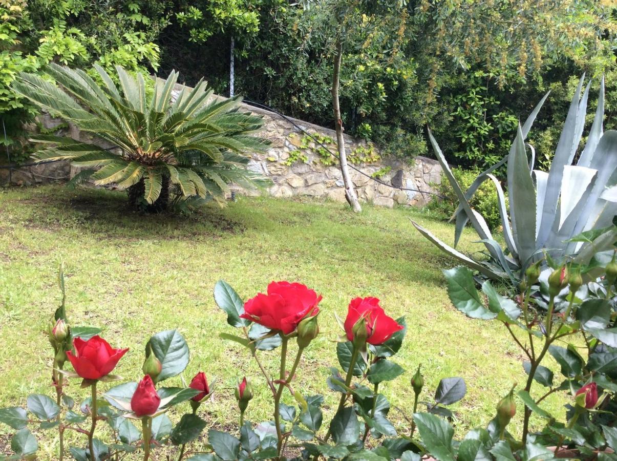 Vila Tra Mare E Bosco Nella Splendida Quercianella Exteriér fotografie